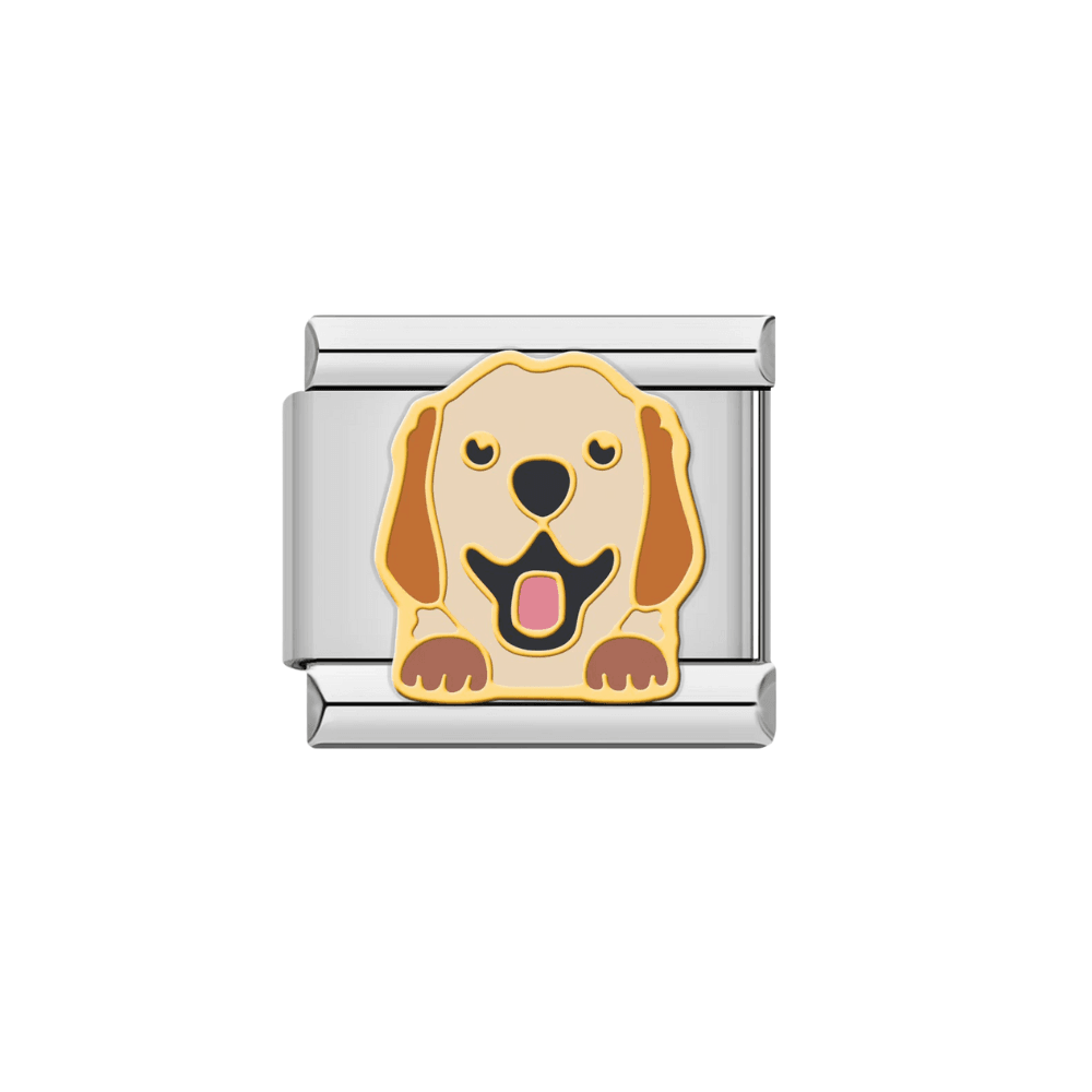 Golden retriever - MyCharms