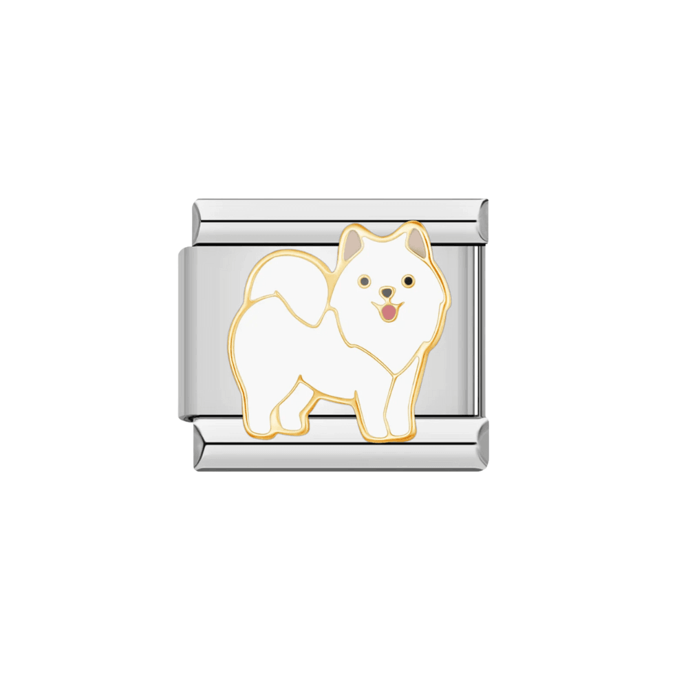 Samoyed - MyCharms