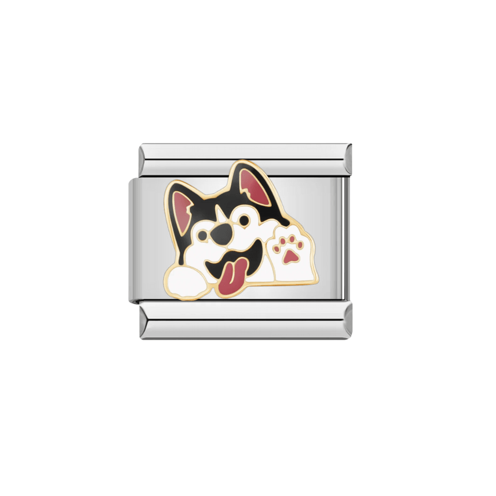 Husky - MyCharms