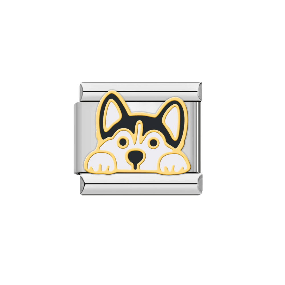 Husky - MyCharms